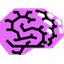 brain icon